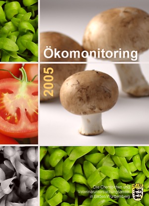 Titelbild des &Ouml;komonitoringberichts 2005.