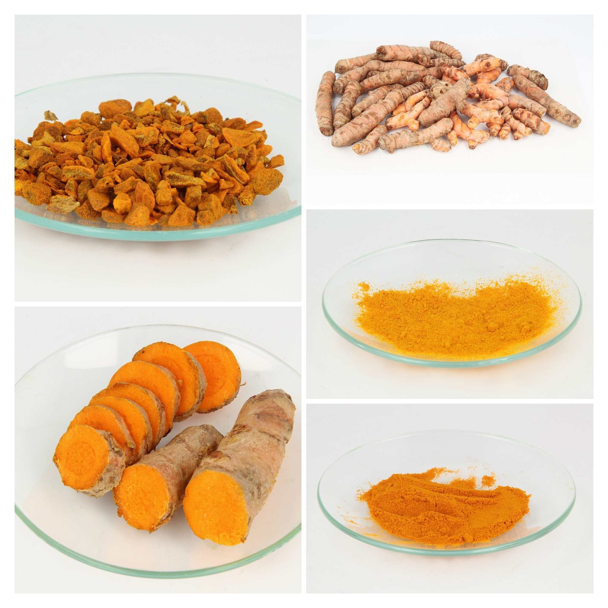 Die Abbildung zeigt eine Collage aus verschiedenen Fotos von Kurkuma-Handelsprodukten. Oben links: grob gestückeltes Material. Oben rechts: ganzes Rhizom. Unten links: Querschnitt durch das Rhizom mit der gut erkennbaren orangenen Färbung. Rechts Mitte und unten: 2 verschiedene gemahlene Kurkumapulverproben auf Uhrgläsern.