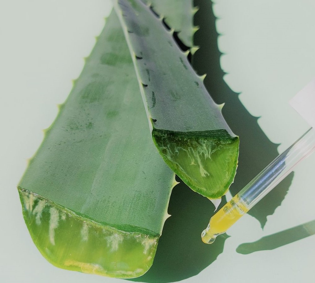 organic aloe vera Aloe Vera Gel | Pure and Natural main image 1