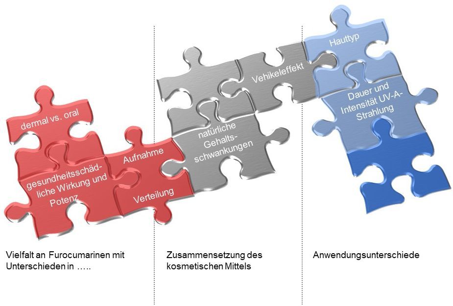 Das Bild zeigt ein Puzzle aus je drei roten, grauen und blauen Teilen. Die roten Teile stehen für die Vielfalt an Furocumarinen mit Unterschieden in 1. Dermaler versus oraler Aufnahme, 2. Der gesundheitsschädlichen Wirkung und Potenz, 3. Der Aufnahme und Verteilung; die grauen Teile fassen die Aspekte der Zusammensetzung des kosmetischen Mittels zusammen: 1. Natürliche Gehaltsschwankungen, 2. Vehikeleffekt; die blauen Teile zeigen die Anwendungsunterschiede: 1. Hauttyp, 2. Dauer und Intensität der UV-A-Strahlung