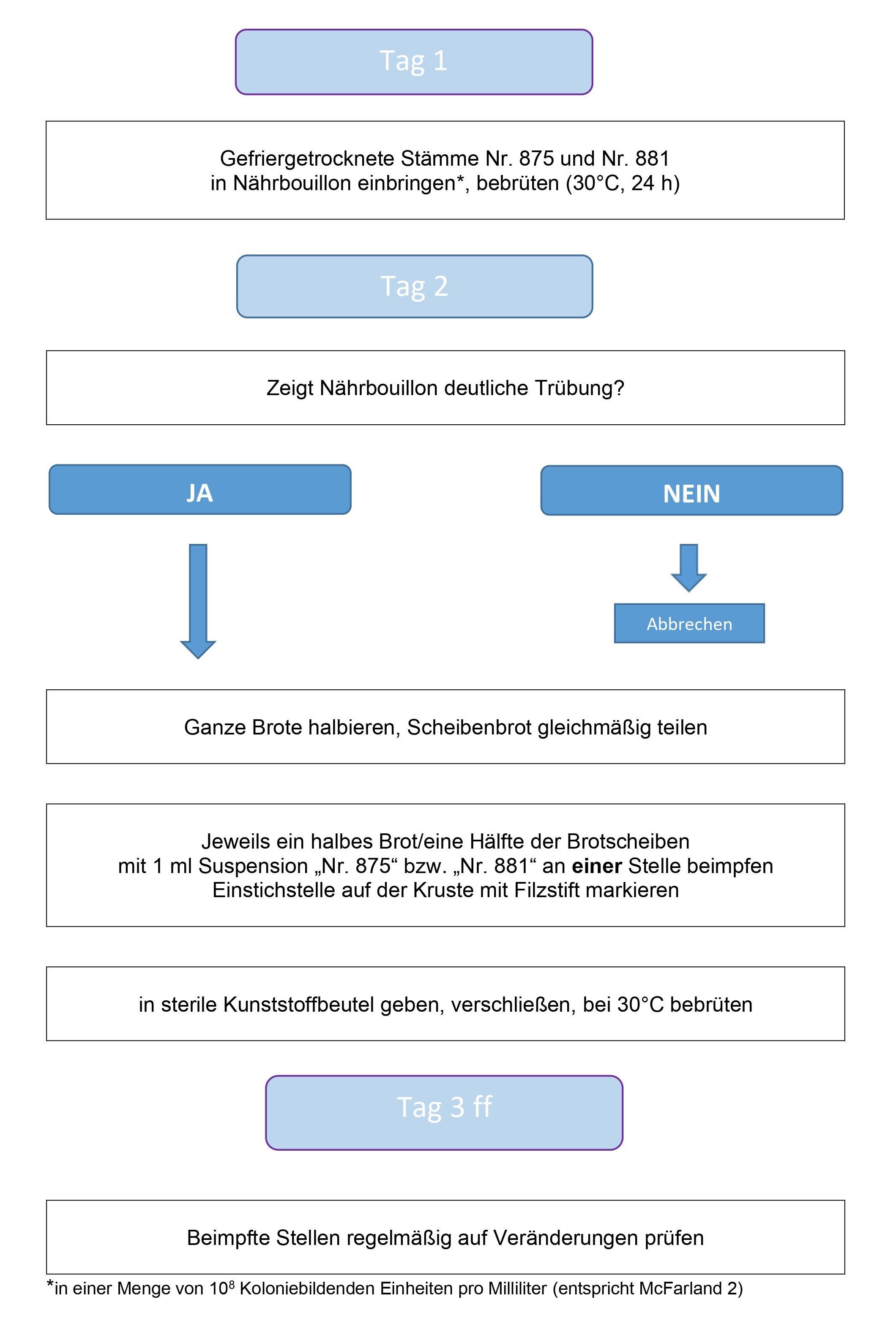 Grafische Darstellung des Versuchsplans