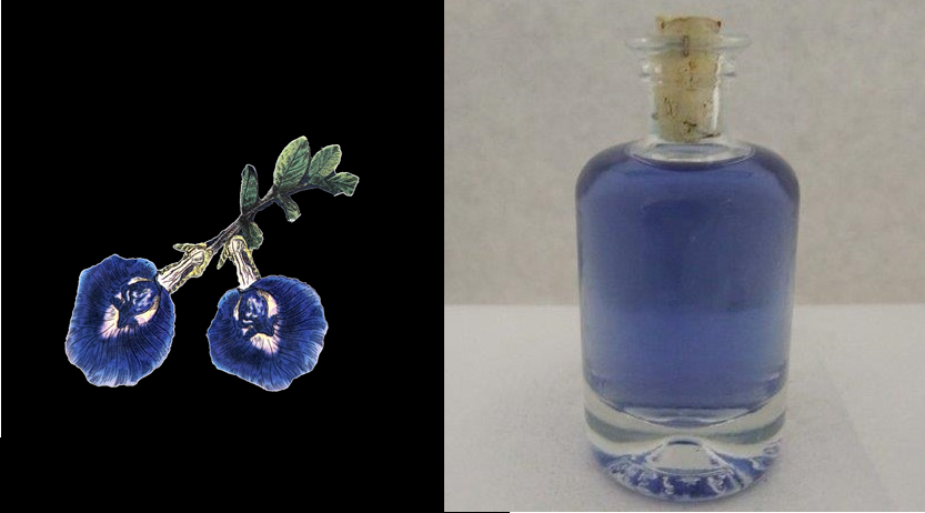 Links: Abbildung zweier dunkelblauen Blüten der Pflanze Clitoria ternatea; Rechts: Abbildung einer blau gefärbten Spirituose in einer Glasflasche, die mit einem Korken verschlossen ist.