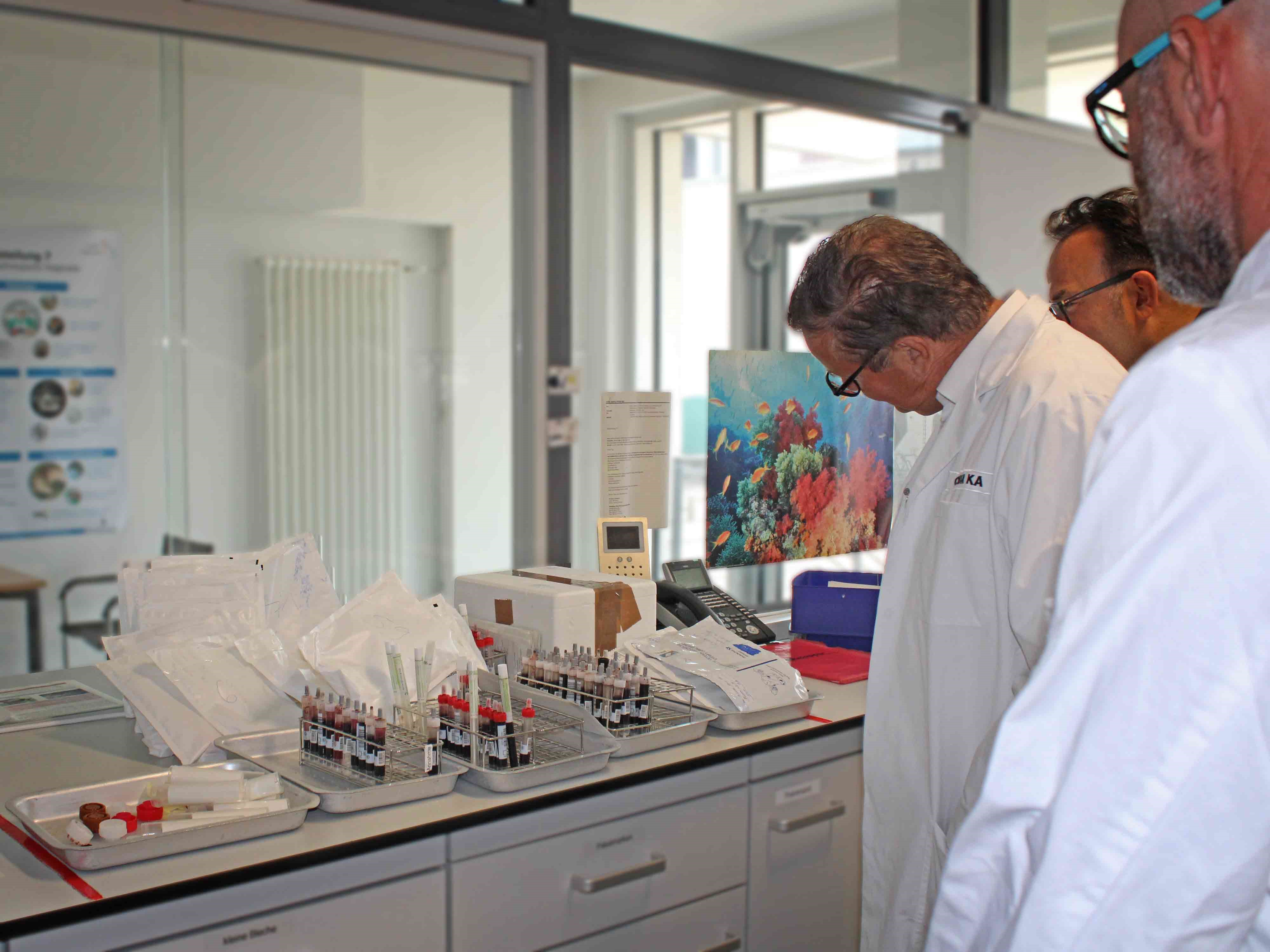 Auf dem Foto ist eine Laborbank mit zahlreichen Blutproben zu sehen. Minister Hauk, Amtsleiter Dr. Walch und ein Kollege schauen sich die Proben an.