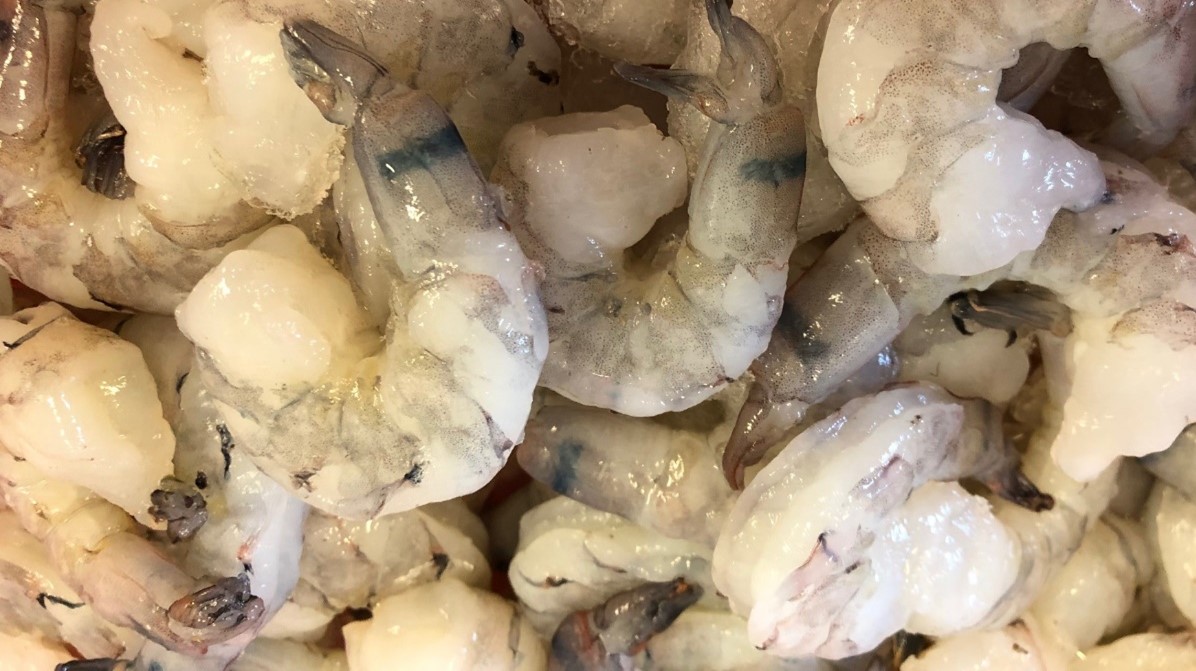 Die Abbildung zeigt aufgetaute Garnelen .