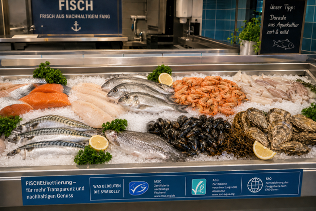 Das Bild zeigt eine Fischtheke mit verschiedenen Fischen und Meeresfrüchten
