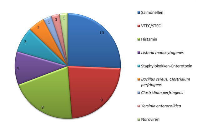 Grafik: Anzahl gesundheitssch�dlicher Lebensmittel mit mikrobieller Ursache, aufgeschl�sselt nach Krankheitserregern bzw. gesundheitssch�dliche Agenzien.