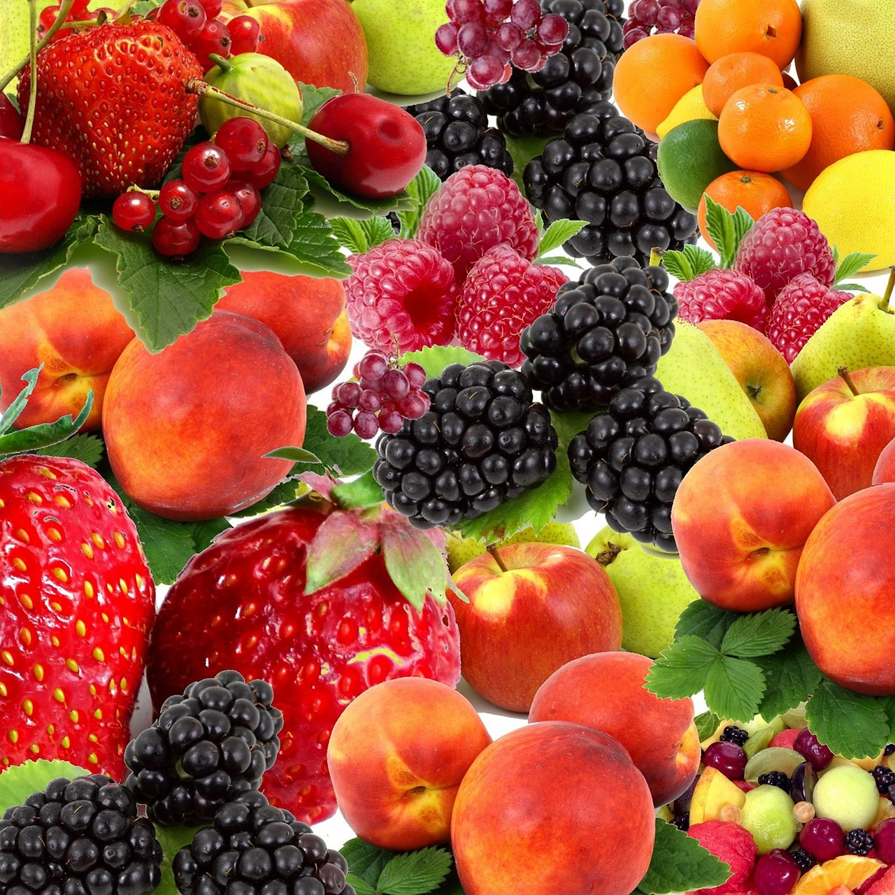 Obst Früchte Fruchtmischung